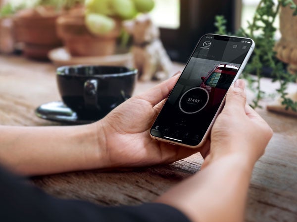 Balise Mazda in Springfield MA