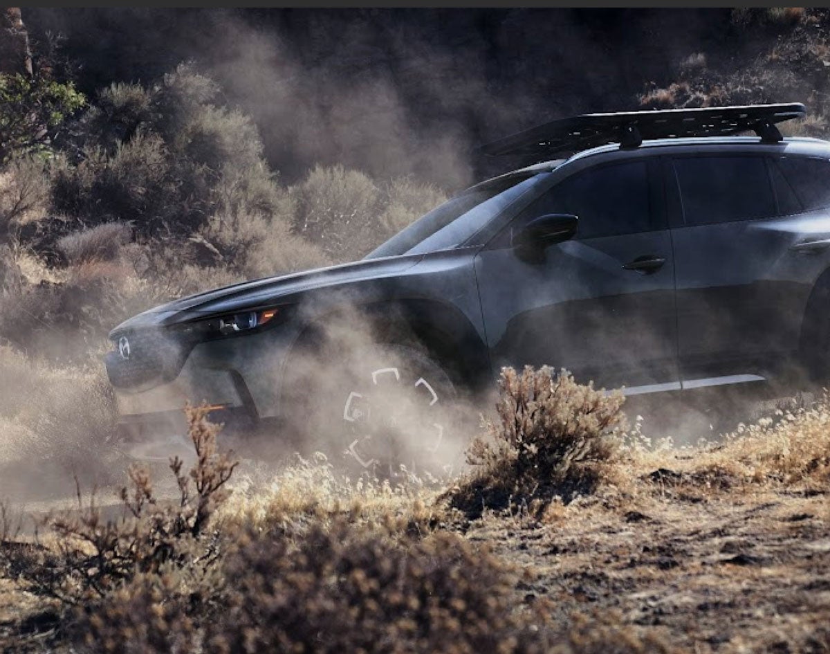 Mazda CX-50 | Balise Mazda in Springfield MA